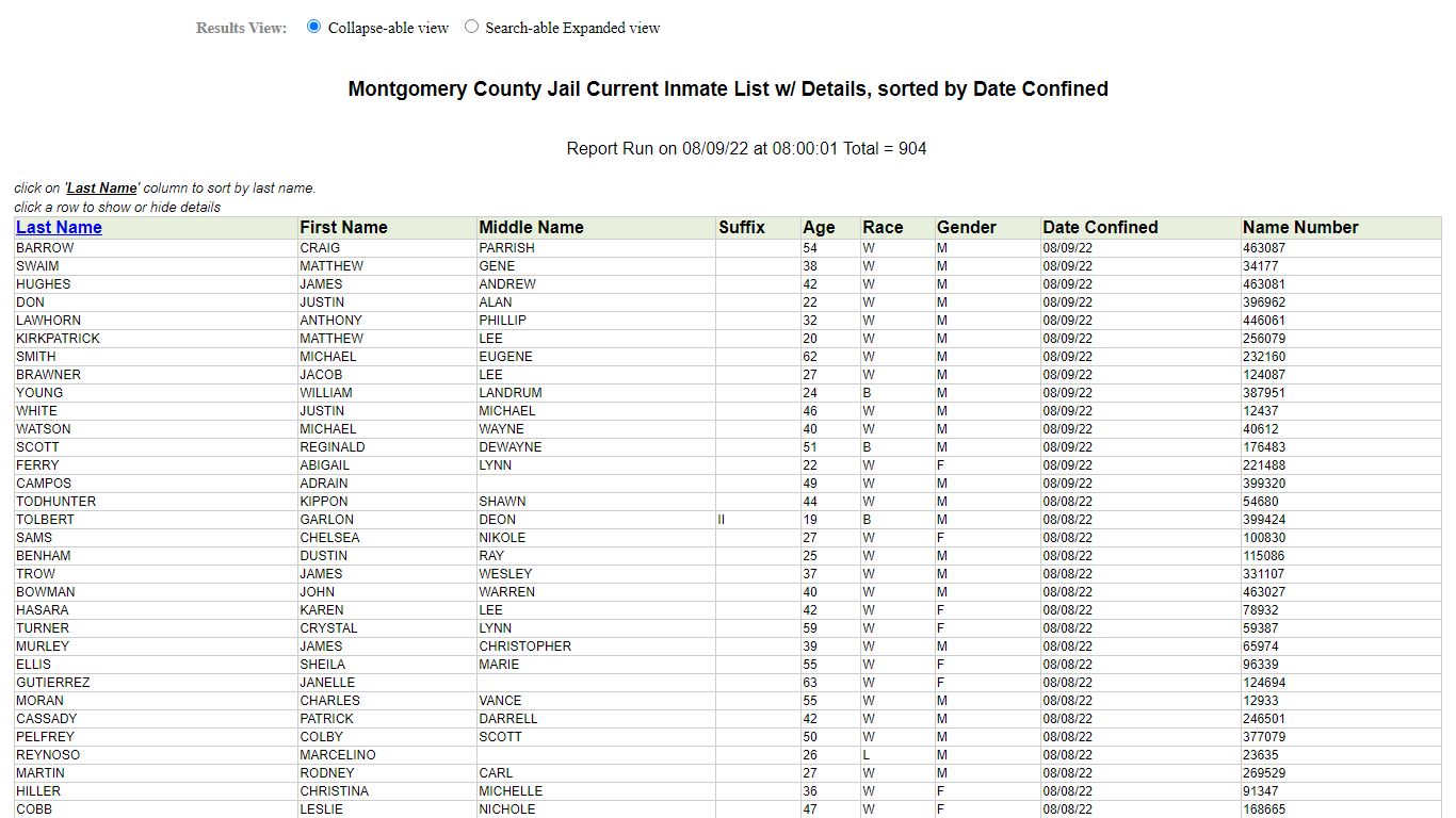 Jail Roster